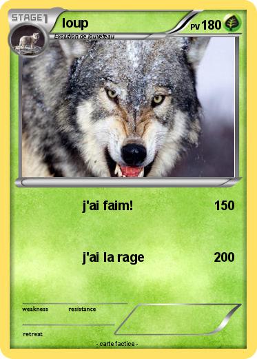 Pokemon loup