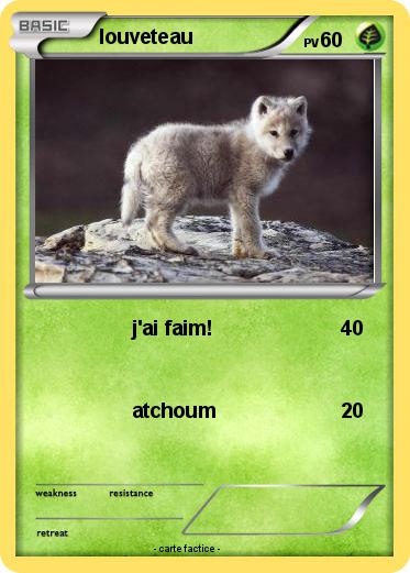 Pokemon louveteau
