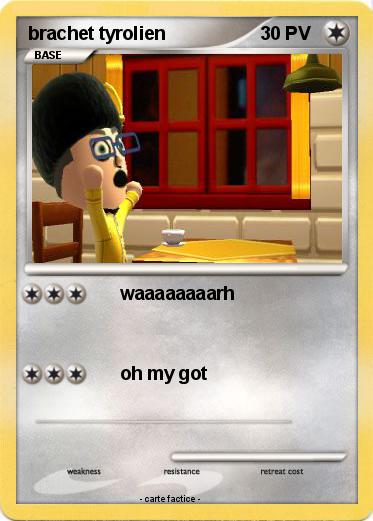 Pokemon brachet tyrolien