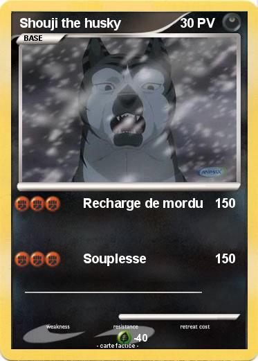 Pokemon Shouji the husky