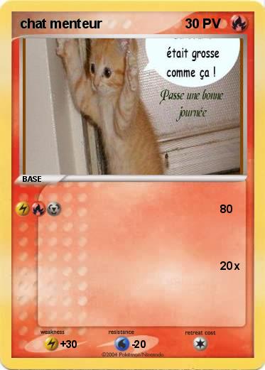 Pokemon chat menteur