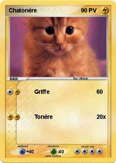 Pokemon Chatonère