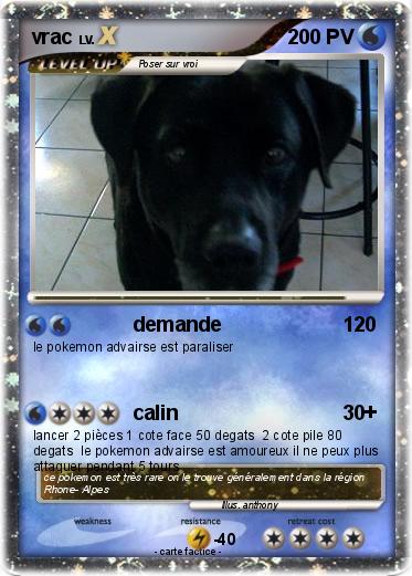 Pokemon vrac