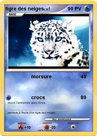 Pokemon tigre des neiges
