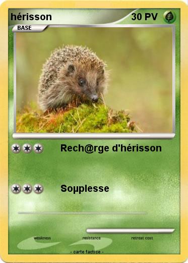 Pokemon hérisson