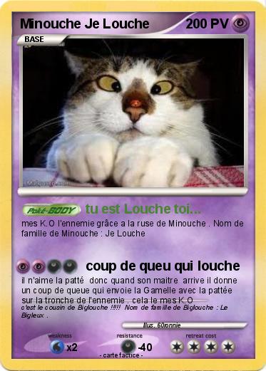 Pokemon Minouche Je Louche
