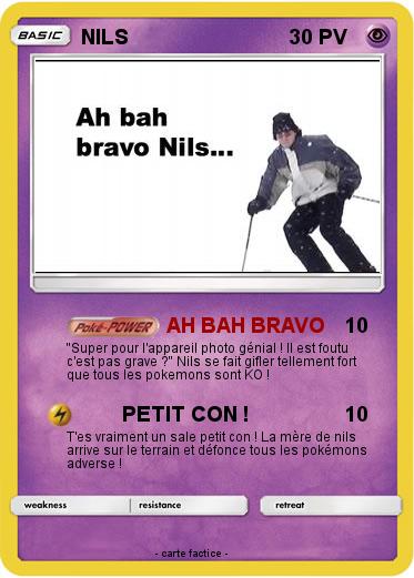 Pokemon NILS