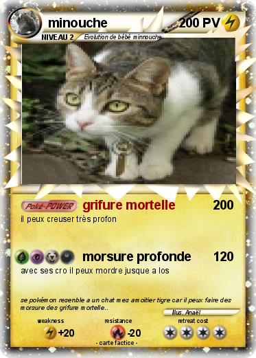 Pokemon minouche