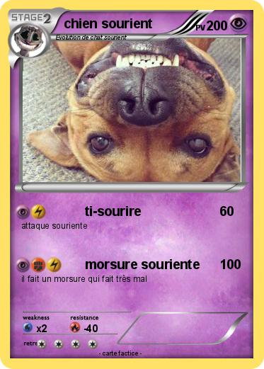 Pokemon chien sourient