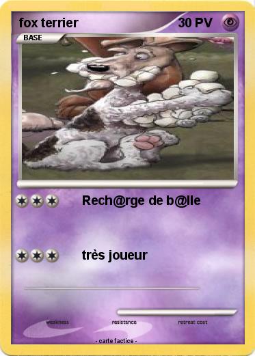 Pokemon fox terrier