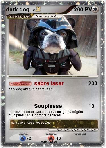 Pokemon dark dog