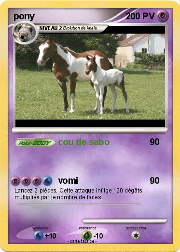 Pokemon pony