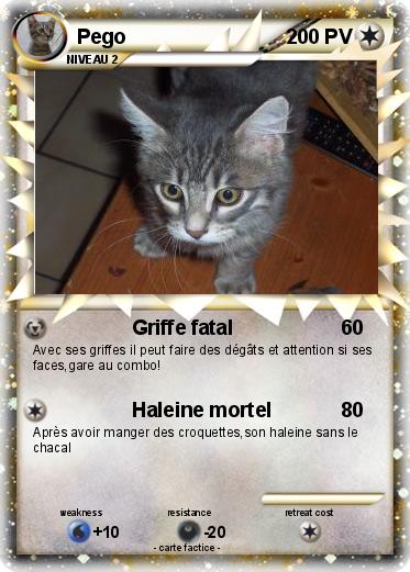 Pokemon Pego