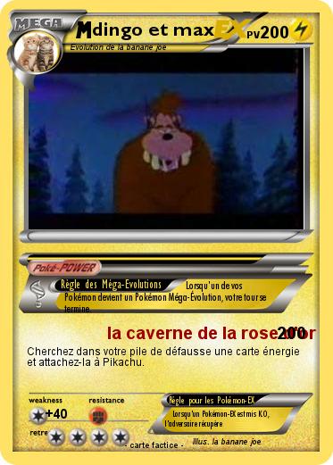 Pokemon dingo et max