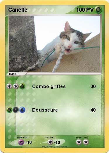 Pokemon Canelle