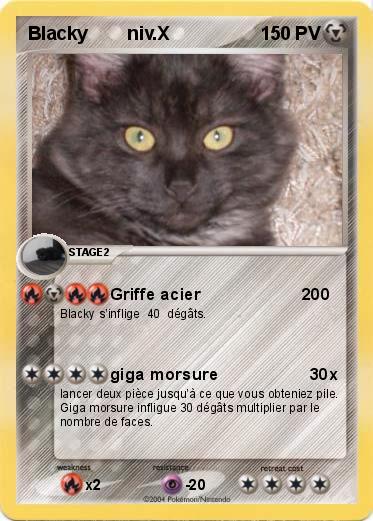Pokemon Blacky        niv.X