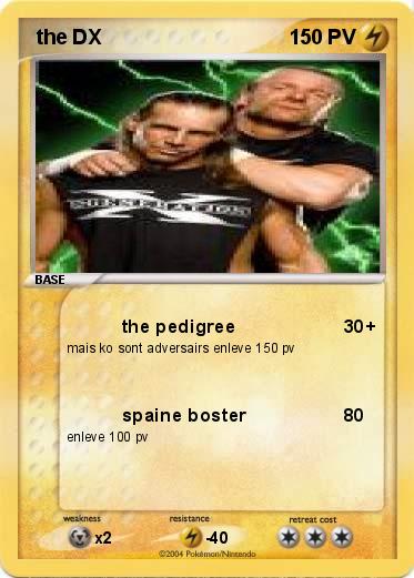Pokemon  the DX