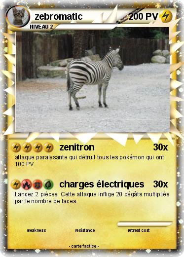 Pokemon zebromatic