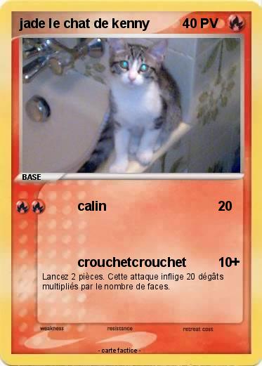 Pokemon jade le chat de kenny