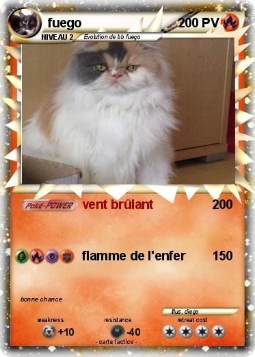 Pokemon fuego
