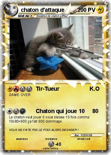 Pokemon chaton d'attaque