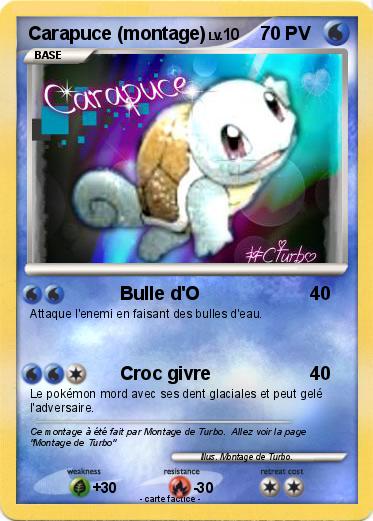 Pokemon Carapuce (montage)