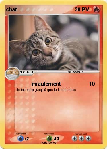 Pokemon chat