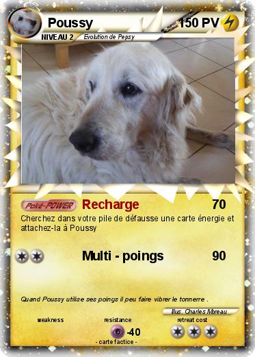 Pokemon Poussy