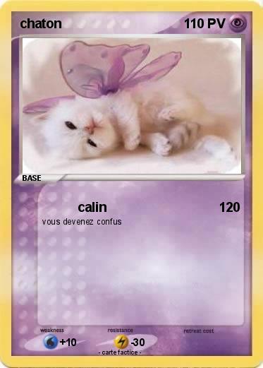 Pokemon chaton