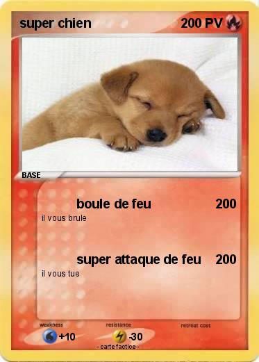 Pokemon super chien