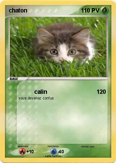 Pokemon chaton