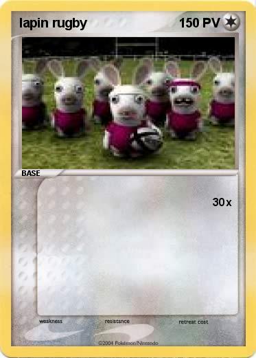 Pokemon lapin rugby