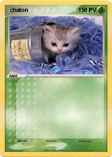 Pokemon  chaton