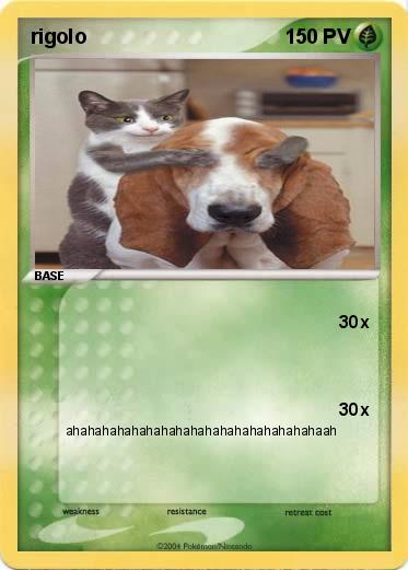 Pokemon rigolo