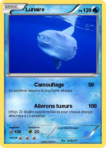 Pokemon Lunaire