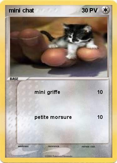 Pokemon mini chat