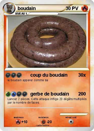 Pokemon boudain