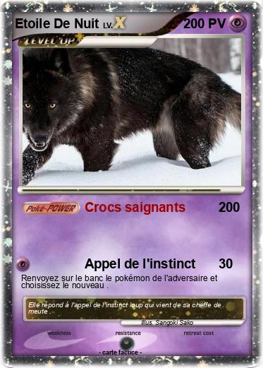 Pokemon Etoile De Nuit
