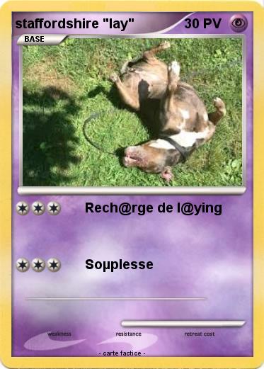 Pokemon staffordshire "lay"