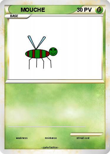 Pokemon MOUCHE