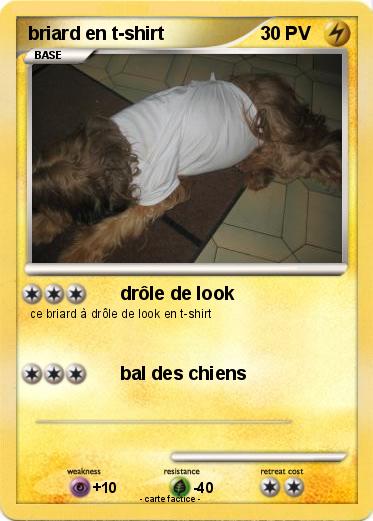 Pokemon briard en t-shirt