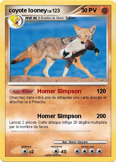 Pokemon coyote looney
