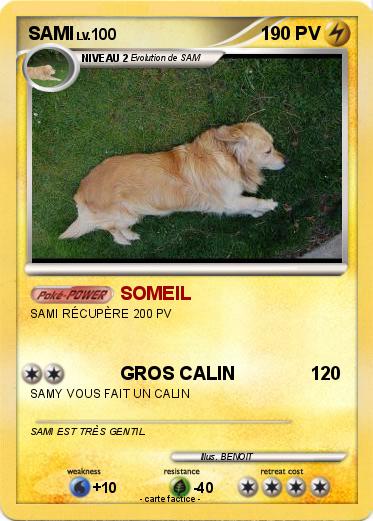 Pokemon SAMI