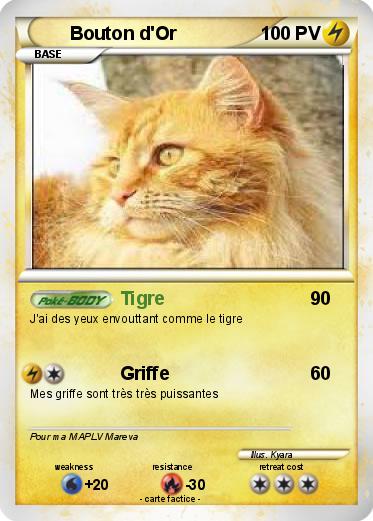 Pokemon Bouton d'Or