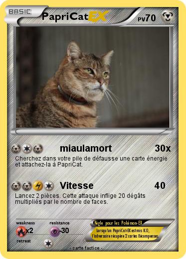 Pokemon PapriCat