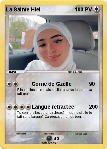 Pokemon La Sainte Hlel