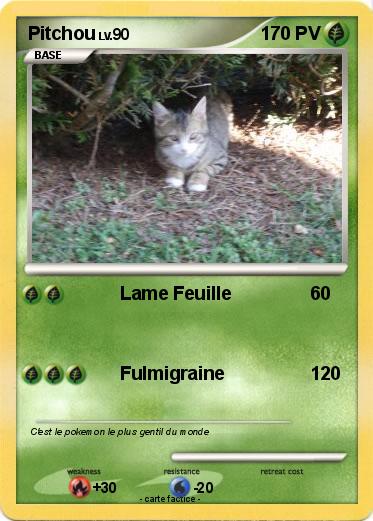 Pokemon Pitchou