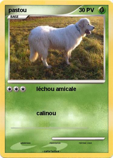 Pokemon pastou