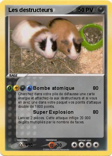 Pokemon Les destructeurs 