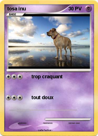 Pokemon tosa inu